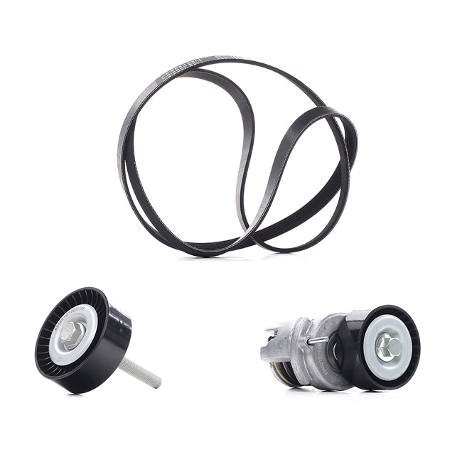 RIDEX PLUS 542R0281P Keilrippenriemensatz Passat B6 Variant 1.4 TSI 122 PS CAXA