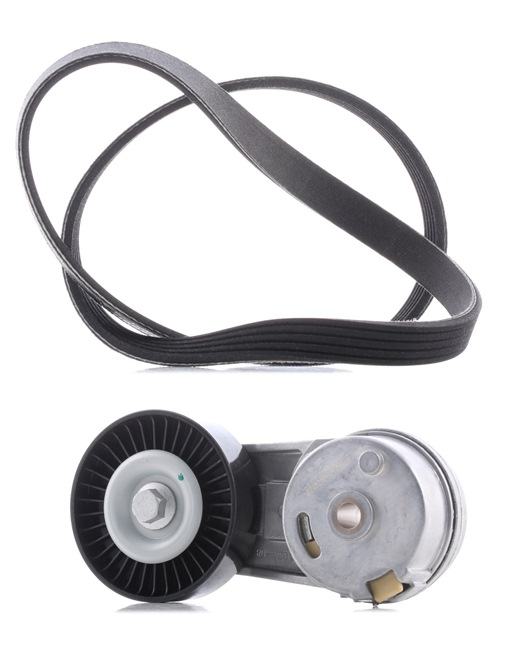 Comprar baratas 542R0013P Kit de correias trapezoidais estriadas de RIDEX PLUS