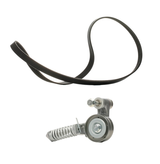 RIDEX PLUS 542R0173P Correa de alternador Corsa C X01 1.4 Twinport (F08, F68) 90 cv Z 14 XEP