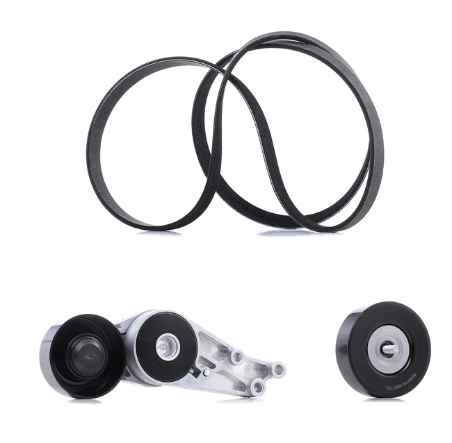 RIDEX PLUS 542R0594P Multireim sett Audi A4 8h 1.8 T quattro 163 hk BFB