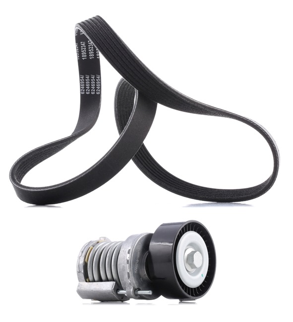 RIDEX PLUS 542R0093P Ribremsæt Golf 5 Variant 1.4 80 HK BUD