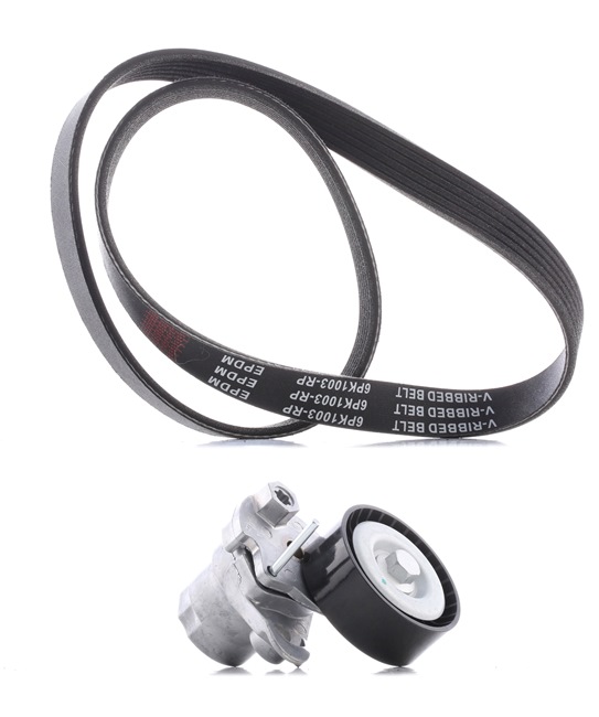RIDEX PLUS 542R0463P Keilriemen 1.4 TSI 150 PS CZEA