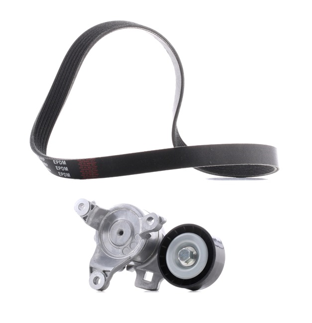RIDEX PLUS 542R0148P Keilrippenriemensatz Citroen C4 Picasso mk1 1.8 Bifuel 125 PS 6FY (EW7A)