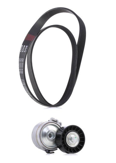 RIDEX PLUS 542R0150P Remtræk / kædetræk Ford Galaxy Mk2 2.0 TDCi 115 HK KLWA