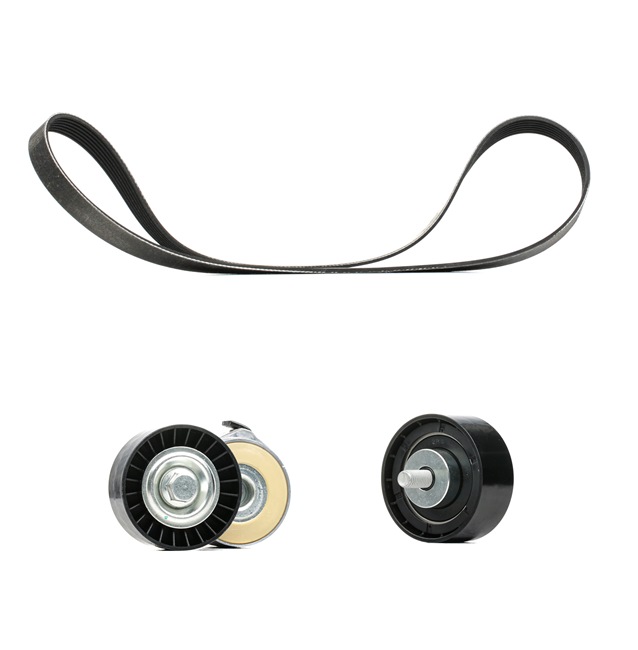 Comprar baratas 542R0491P Kit de correias trapezoidais estriadas de RIDEX PLUS