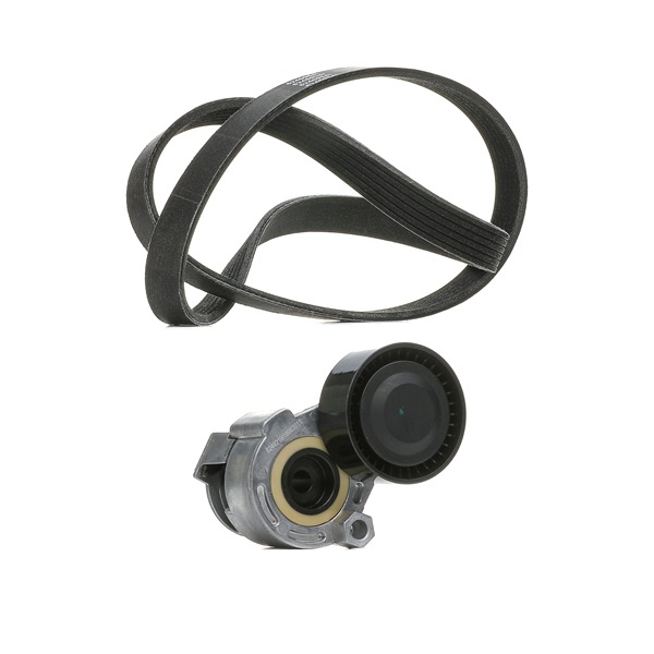 RIDEX PLUS 542R0170P Ribrem Dacia Logan US 1.5 dCi (US00, US0J, US0Y) 65 HK K9K 794