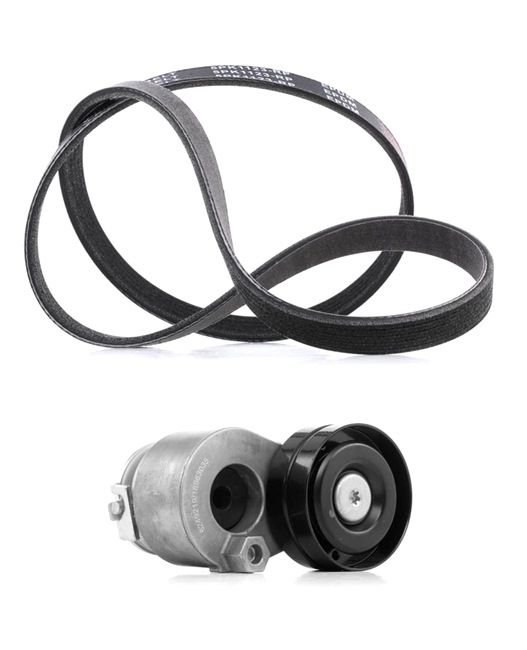 542R0179P RIDEX PLUS Jeu de courroies trapézoïdales à nervures pas chères