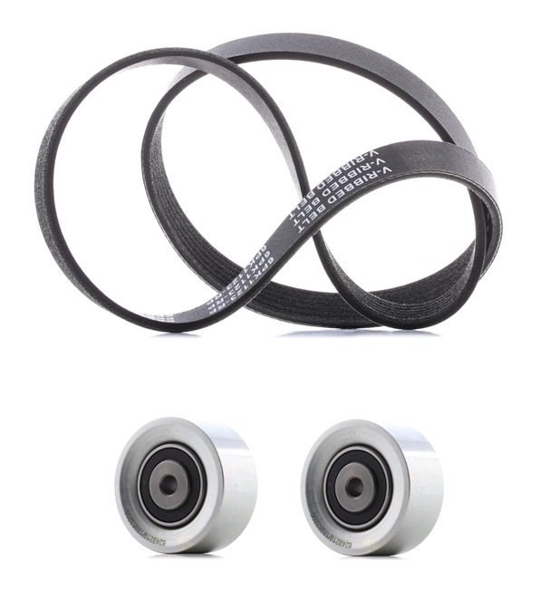 RIDEX PLUS 542R0465P Hosszbordás szíj készlet CITROËN C3 I Hatchback (FC, FN) 1.4 i Bivalent 73 LE KFV (TU3JP)