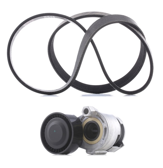 RIDEX PLUS Zestaw paska wielorowkowego 542R0215P