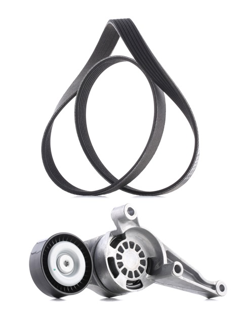 RIDEX PLUS 542R0115P Multiriem VW Golf 1k5 1.9 TDI 4motion 105 Pk BLS