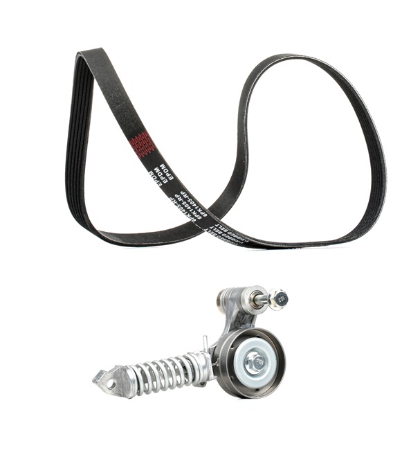 RIDEX PLUS 542R0481P V-belt 1.4 Turbo 140 hp A 14 NET