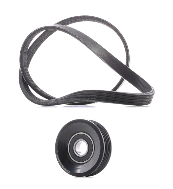RIDEX PLUS 542R0437P Styrekædesæt 2.0 S Turbo AWD (SF5) 170 HK EJ205