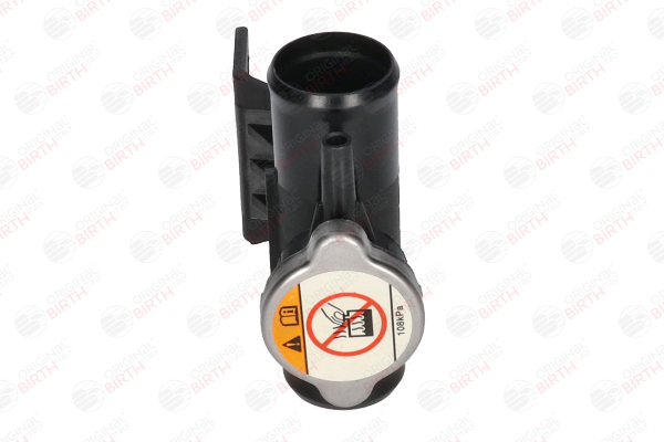 BIRTH 56515 Servoleitung 2.4 Flex 4WD 170 PS 4B12