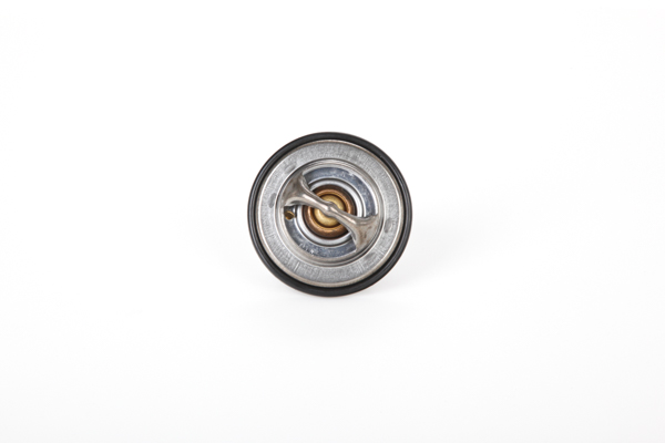 Continental 28.0200-4173.2 Thermostat XJ Sovereign 4.0 222 PS 9EPCNA