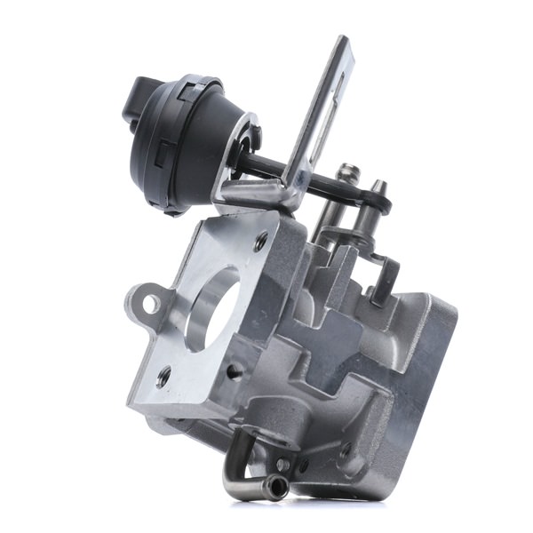 RIDEX 4198E0187 Mellomlyddemper 2.7 TDI 180 hk BPP