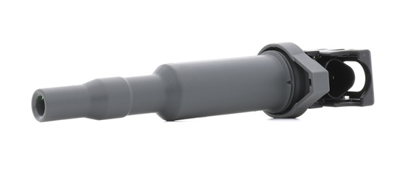 RIDEX PLUS 689C0147P Modulo di accensione 325i 2.5 211 CV N52 B25 A