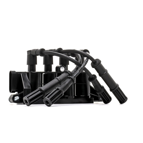 RIDEX PLUS 689C0290P Tändmodul 1.4 (843.AXG1A) 78 hk 350 A1.000