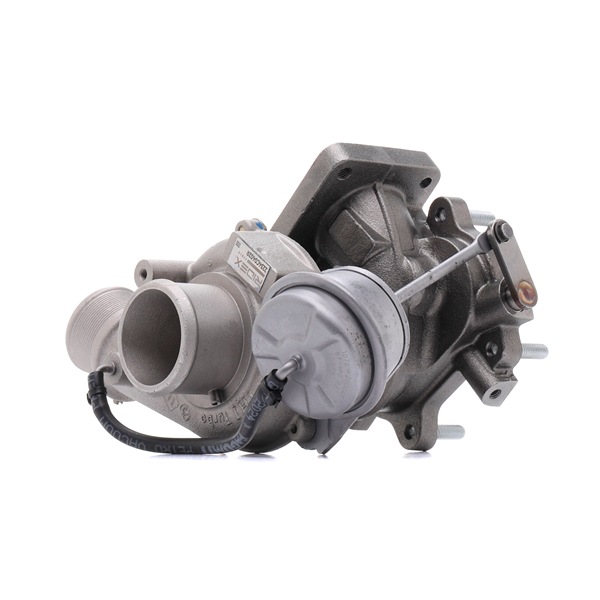 RIDEX REMAN 2234C0402R Filtro de partículas 1.4 LPG (356HXF1B) 120 cv 940 B7.000