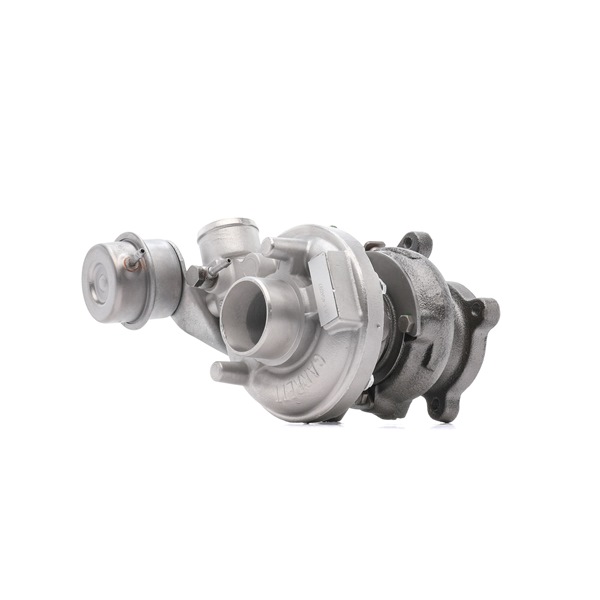 RIDEX REMAN 2234C10798R Turbo Passat 3b5 1.9 TDI 90 Pk AHH