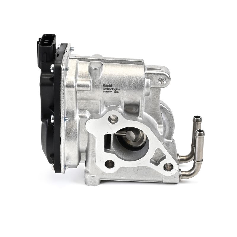 DELPHI EG10607-12B1 Samlerør udstødning 2.2 D 4WD (ALA49) 177 HK 2AD-FHV