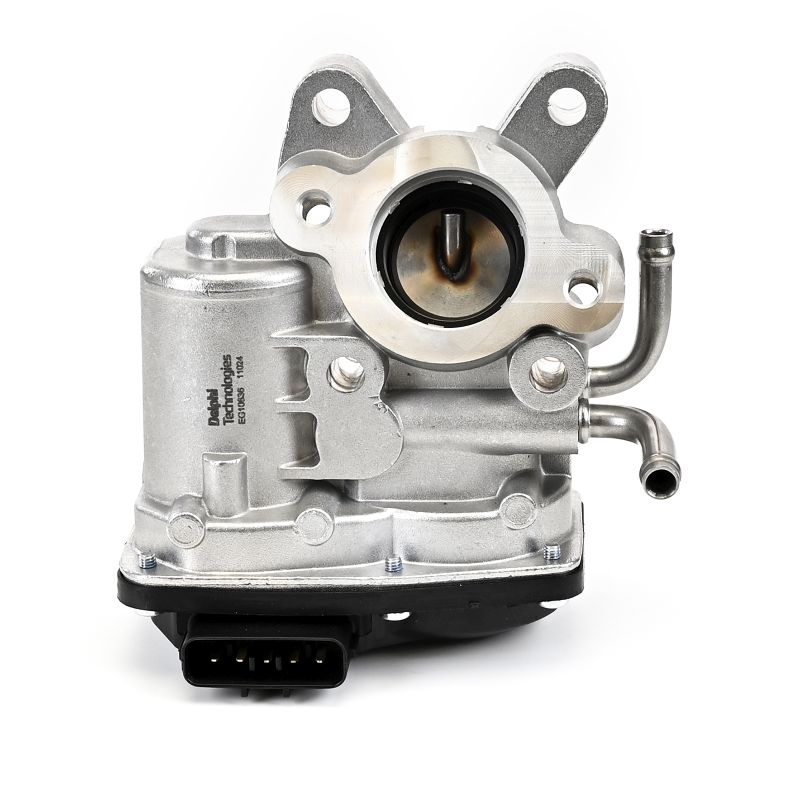 DELPHI EG10636-12B1 Samlerør udstødning 2.0 D AWD (SJD) 147 HK EE20Z