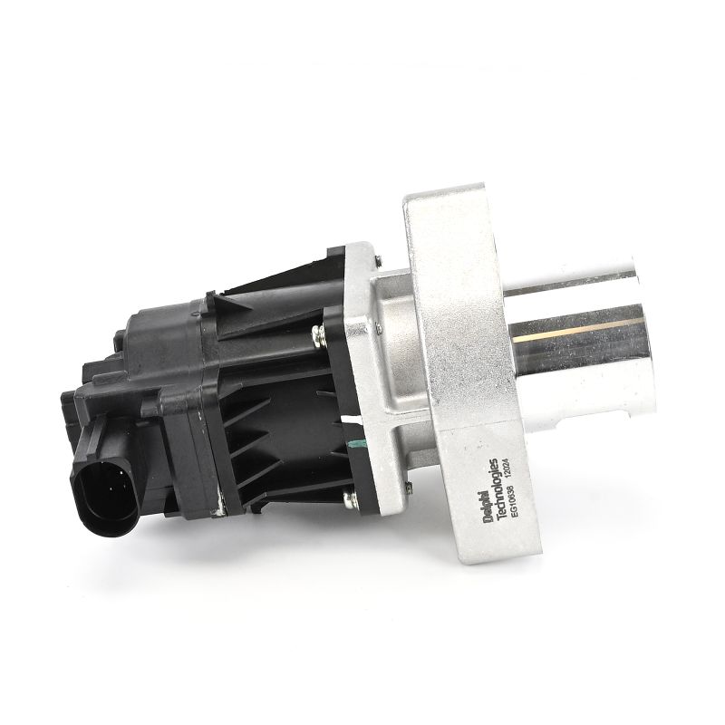 DELPHI EG10638-12B1 Houder uitlaatsysteem 2.2 CDTi 4x4 184 Pk A 22 DMH