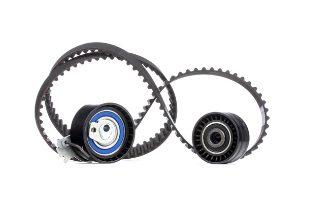 SNR KD459.47 Ékszíj 1.6 Flex 113 LE N6A (TU5JP4)