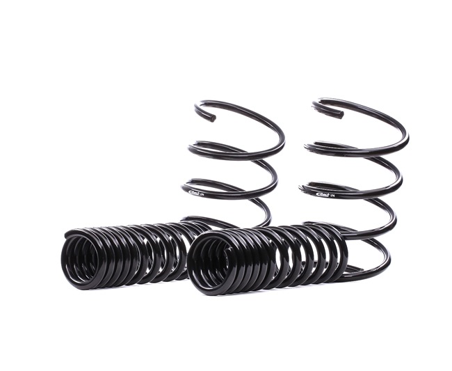 MERCEDES-BENZ EIBACH Set arcuri E10-25-001-02-22