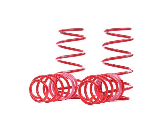 EIBACH Set arcuri E10-30-010-02-22