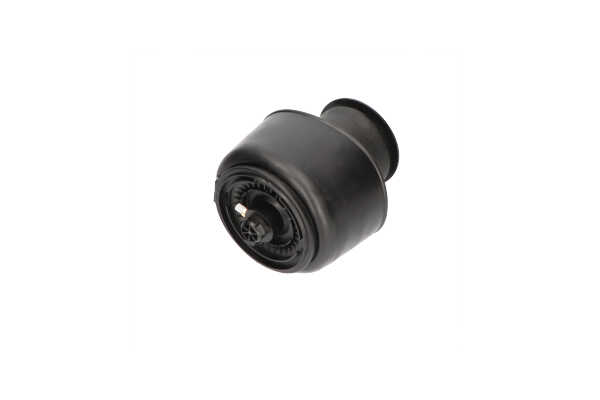 KAVO PARTS SAS-10001 Trykakkumulator 520 d xDrive 205 HK B47 D20 A
