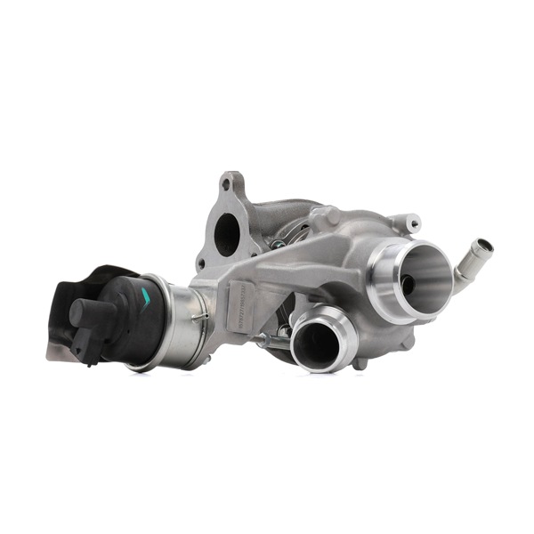 RIDEX 2234C11650 Forreste lydpotte 1.6 CDTI (_76) 110 HK B 16 DTN