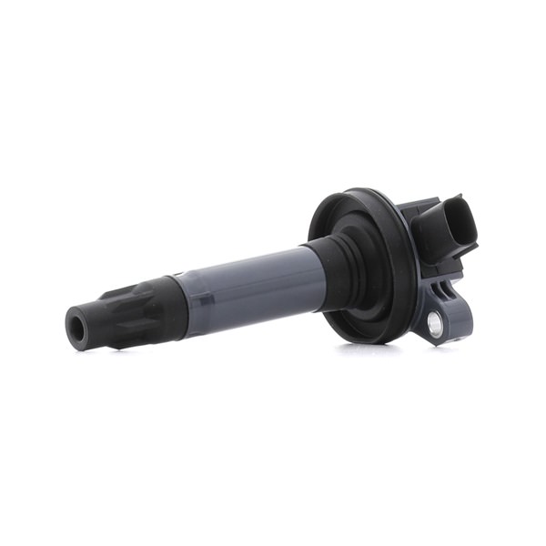 RIDEX 689C0497 Gløderør 3.7 V6 305 HK 99M