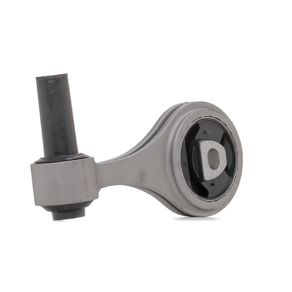 RIDEX 247E1094 Βάση μηχανής FIAT Doblo II Φορτηγό πλατφόρμα/Σασσί (263) 1.3 D Multijet 90 PS 263 A2.000