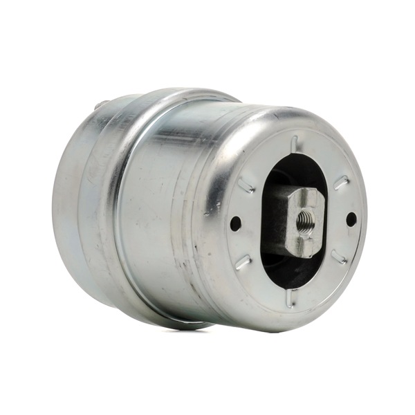 RIDEX 247E1096 Apoio do motor VW T4 Van 2.5 TDI Syncro 102 cv AXL