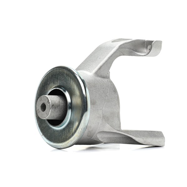 RIDEX 247E1101 Supporto motore VW Multivan T5 2.0 TSI 4motion 204 CV CJKA