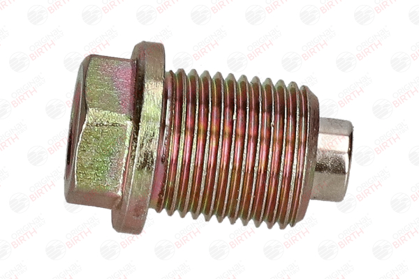 BIRTH 40593 Fasce elastiche T6 Plug-In Hybrid AWD 349 CV B 4204 T52
