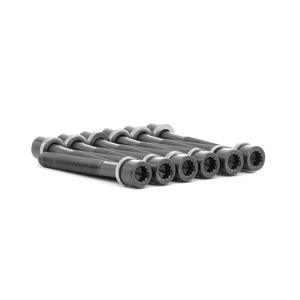 VW ELRING Topplokksbolter 819.883