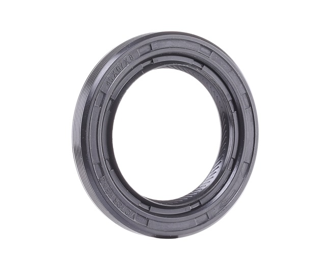 REINZ 81-26248-00 Krukaskeerring Mercedes E Class W124 E 500 (124.036) 326 Pk M 119.974