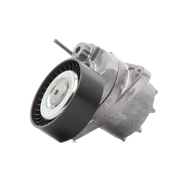 RIDEX PLUS 541V0031P Intinzator curea, curea distributie Mercedes S203 C 270 CDI (203.216) 163 CP
