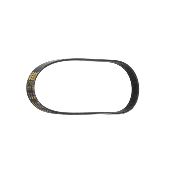 RIDEX PLUS 305P0236P Multiriem Ford Transit Connect Station Wagon 1.6 TDCi 75 Pk UBGA