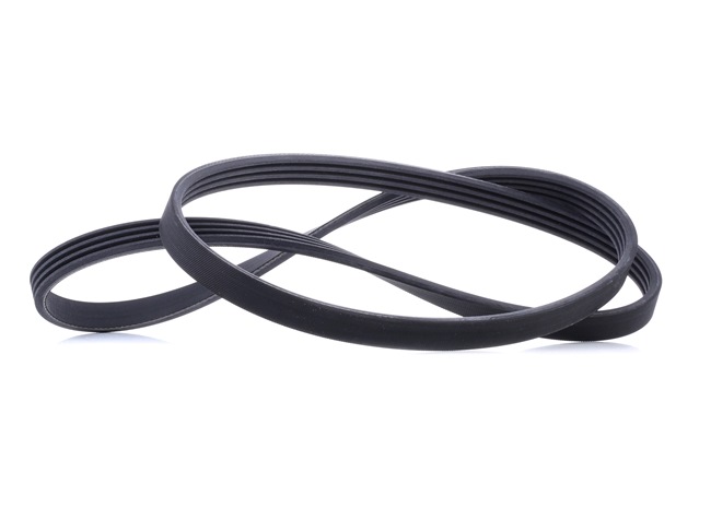 CONTITECH 4PK1237 Steuerkette 2.5 TDI Syncro/4motion 150 PS AFB