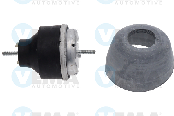 VEMA 430462 Supporto motore Passat 3b5 1.9 TDI Syncro/4motion 110 CV AVG