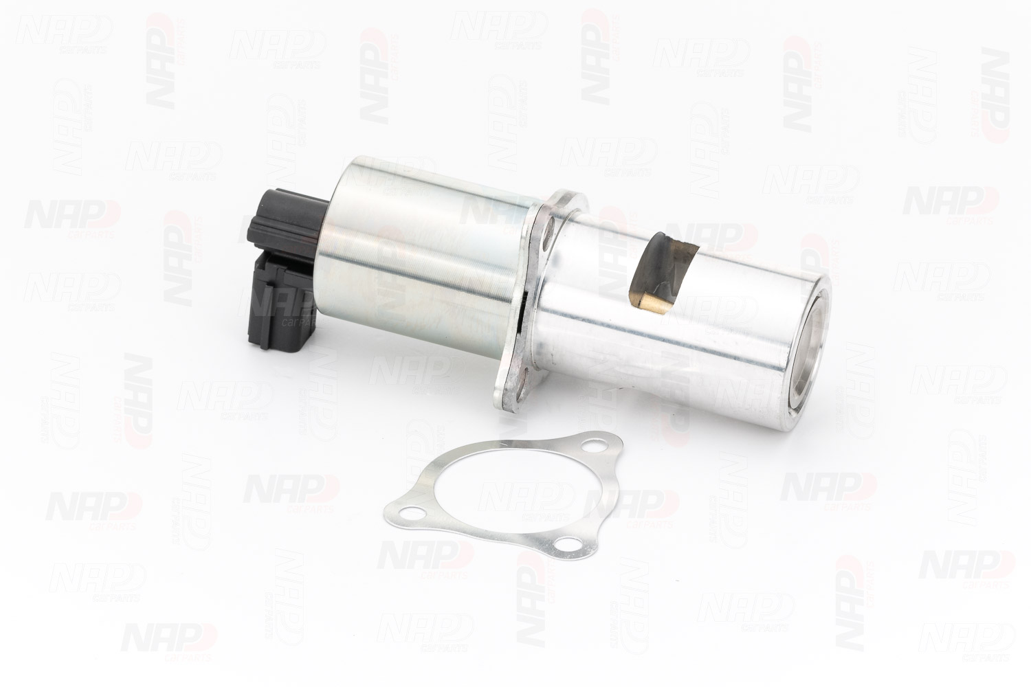 NAP carparts CAV10020 Válvula EGR Renault Scenic 1 1.9 dCi 102 cv F9Q 733