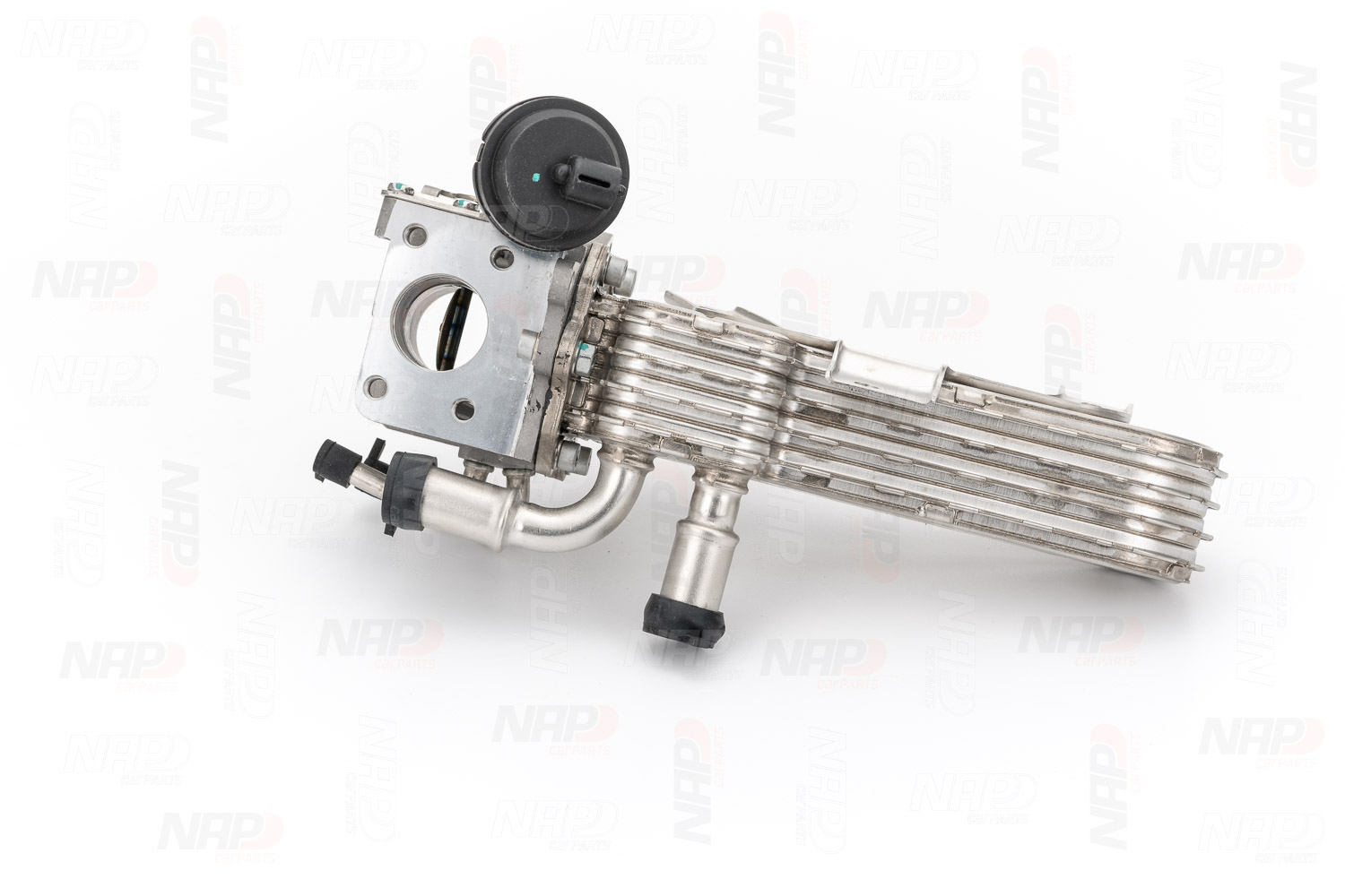 NAP carparts CAV10178 AGR Ventil Passat 3B5 1.9 TDI 101 PS AVB
