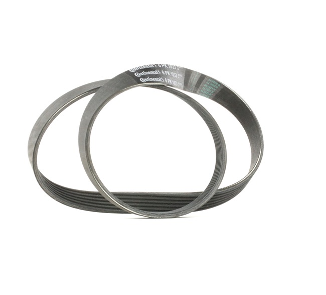 Koop 6 PK 1032 Multi-V-riem 1033mm, Ribbenaantal: 6 van CONTITECH goedkope