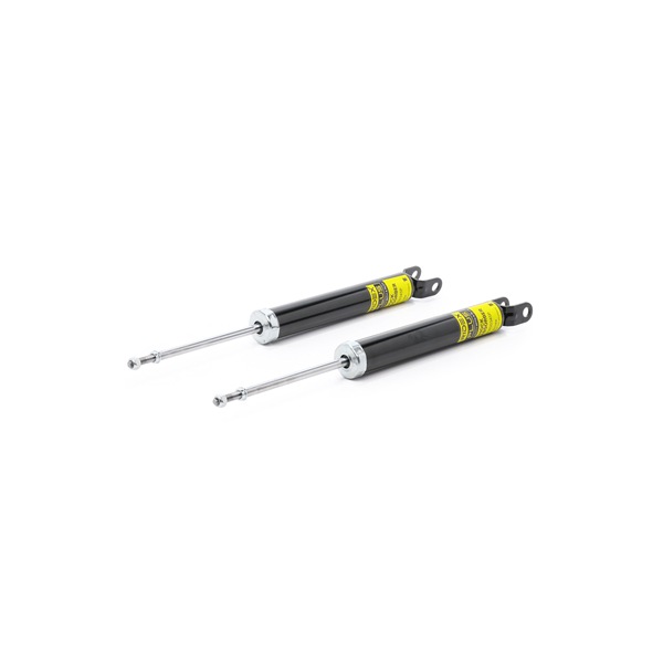 RIDEX PLUS 854S0891P Esfera de suspensão 1.6 GT 204 cv G4FJ