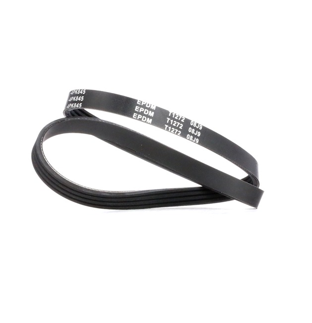 MEYLE 050 004 0845 Correia trapezoidal estriada Subaru Legacy 4 Carrinha 2.0 R AWD (BP5) 150 CV
