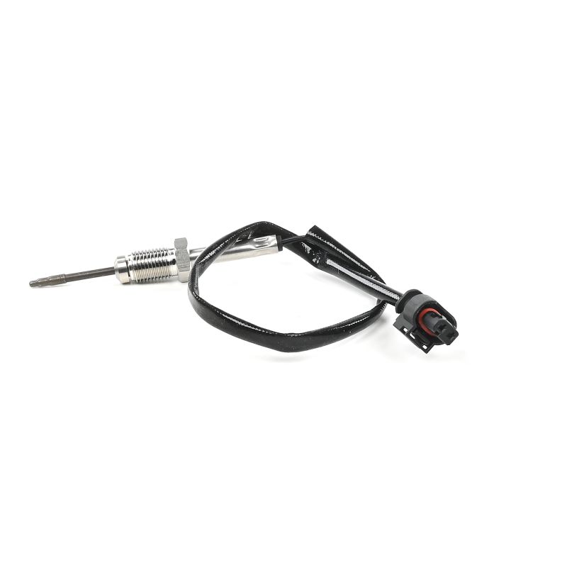 DELPHI TS30346-12B1 Sensore di temperatura BMW F34 320 d xDrive 163 CV N47 D20 C