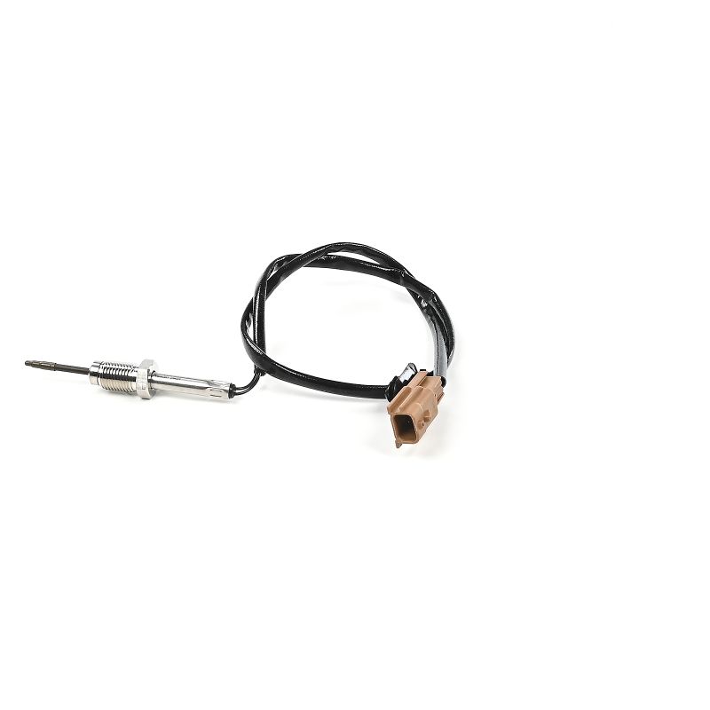 DELPHI TS30357-12B1 Abgastemperatursensor Nissan Note E12 1.5 dCi 90PS 2013