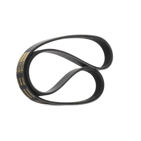 RIDEX PLUS 305P0029P Steuerkette 1.8 (F08, F68) 125 PS Z 18 XE